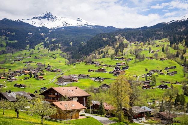 Suiza Ginebra Europa Naturaleza