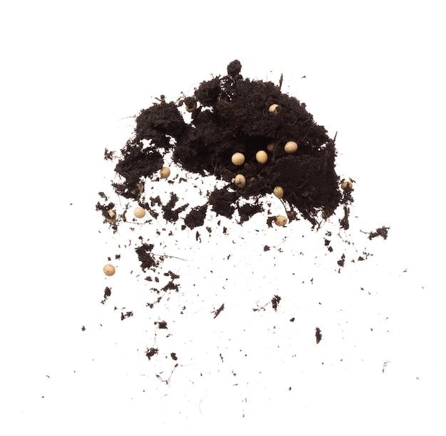 Suja sujeira Mistura de feijão de soja Explosão voadora Fertilizante de soja Abstracto mosca de nuvem Mistura de solo Plantio de feijoada de soja Parada no ar fundo branco Movimento de congelamento de alta velocidade isolado