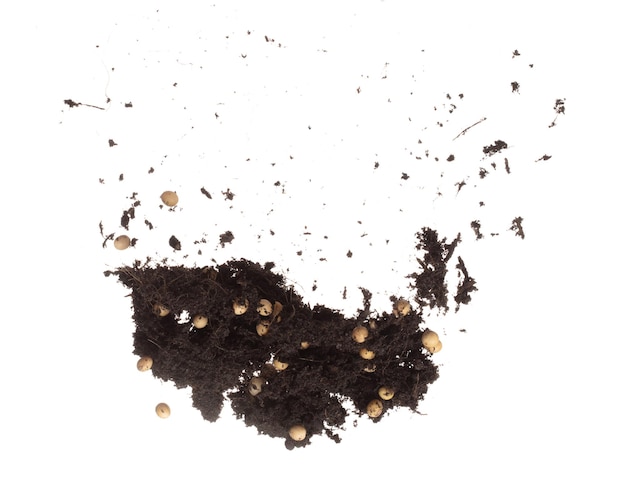 Suja sujeira Mistura de feijão de soja Explosão voadora Fertilizante de soja Abstracto mosca de nuvem Mistura de solo Plantio de feijoada de soja Parada no ar fundo branco Movimento de congelamento de alta velocidade isolado