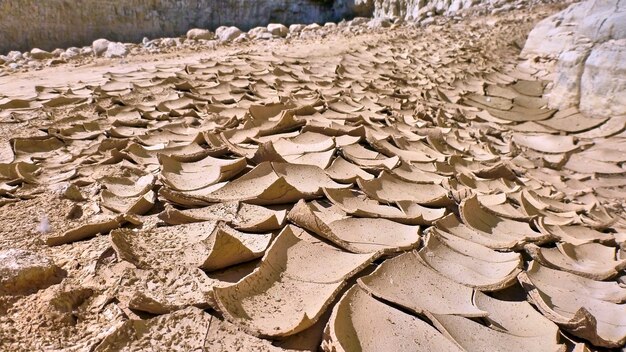 Sujeira seca no cânion, deserto da judéia. israel