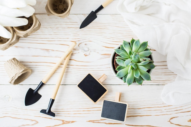 Sukkulente in einem Topf und Werkzeuge zum Umpflanzen von Pflanzen auf einem weißen Holztisch Home Gardening Hobby Draufsicht