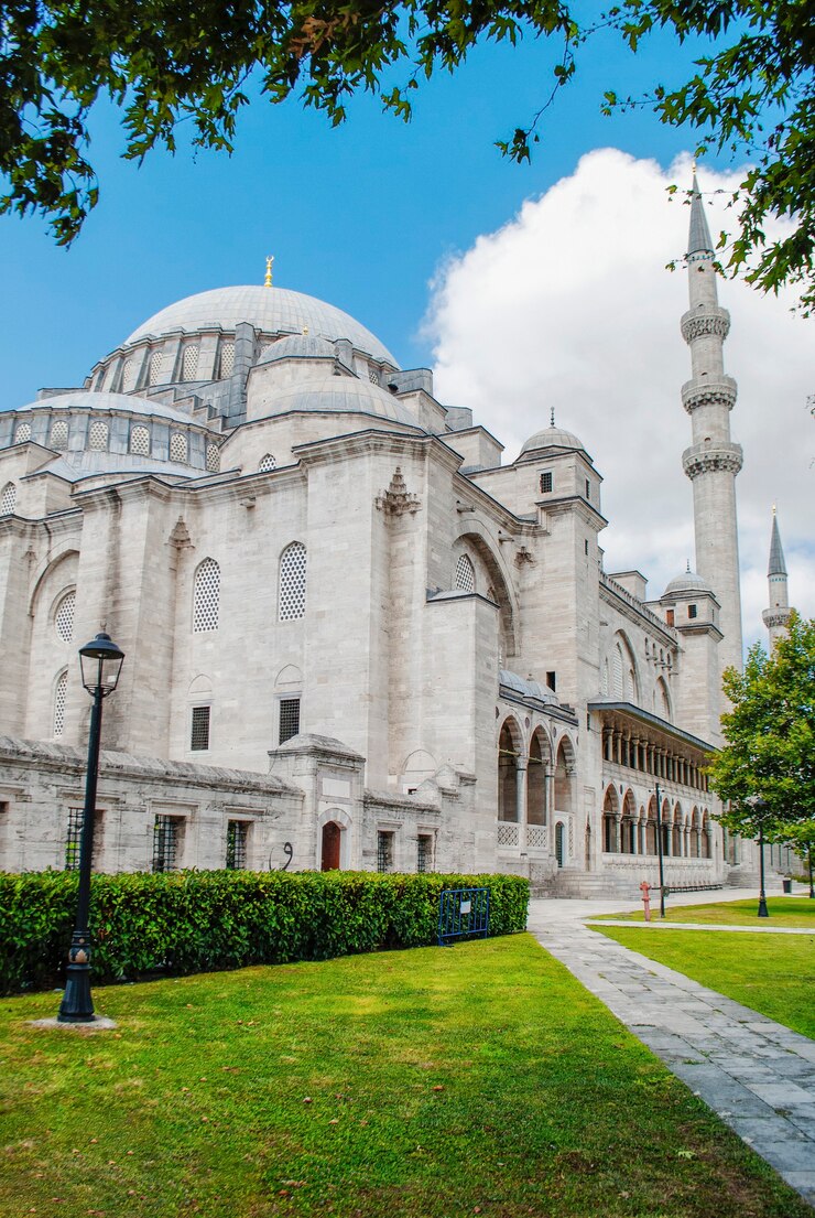 Suleymaniye Moschee vor dem Hintergrund des blauen Himmels und der grünen Blätter