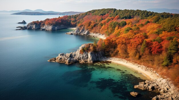 Sumérgete en la impresionante belleza de la isla de Namiseom mientras capturamos