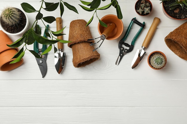 Suministros de jardinería sobre fondo blanco de madera, vista superior