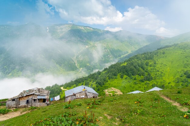 Summer mountain plateau foggy highland com artvin, turquia