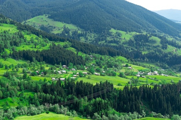 Summer Mountain Plateau Highland con Artvin, Turquía