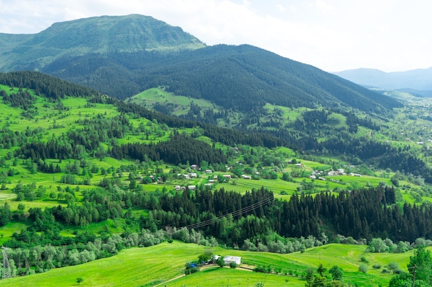 Summer Mountain Plateau Highland con Artvin, Turquía