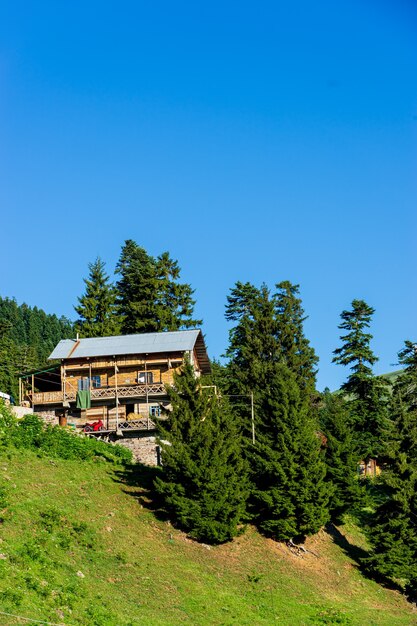 Summer Mountain Plateau Highland con Artvin, Turquía