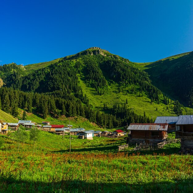 Summer mountain plateau highland com artvin, turquia