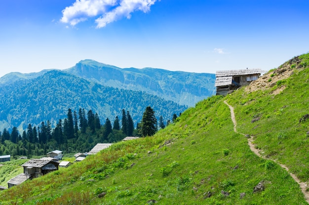 Summer Mountain Plateau Highland con Gorgit, Artvin, Turquía