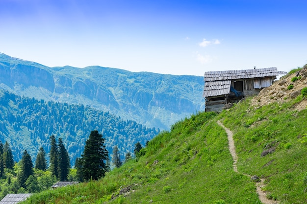 Summer Mountain Plateau Highland con Gorgit, Artvin, Turquía