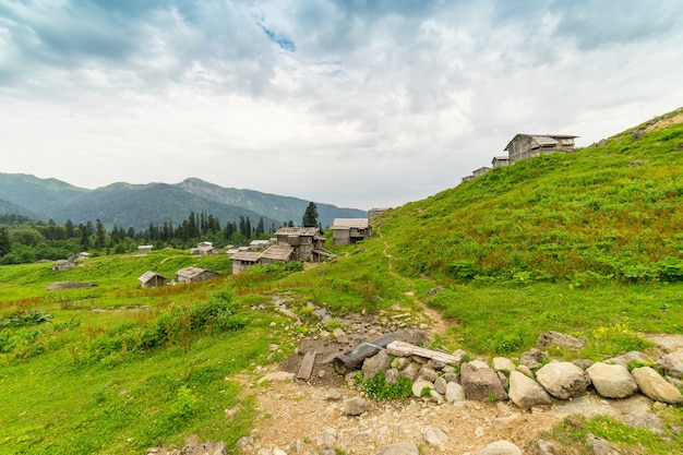 Foto summer mountain plateau highland con gorgit, artvin, turquía