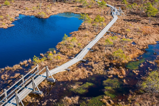 Sumpf im Kemeri Nationalpark mit schönen Seen