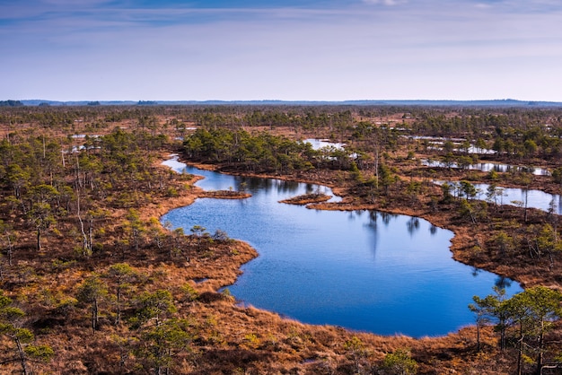 Foto sumpf im kemeri nationalpark mit schönen seen