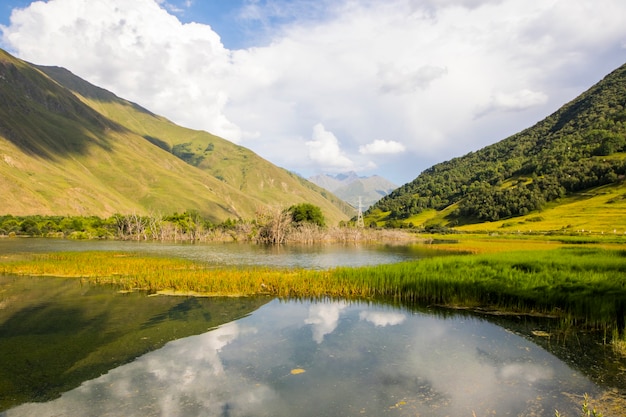 Sumpfansicht, Naturhintergrund, Reiseziel in Georgia. Pfund und Sumpf.