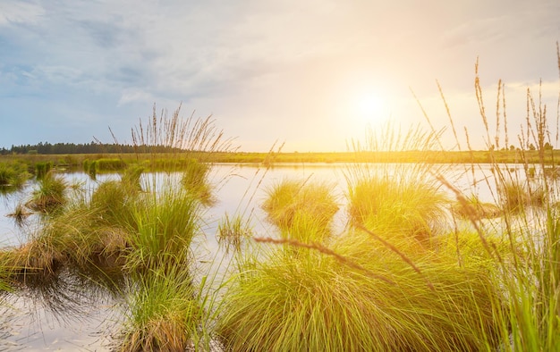 Sumpfsee mit Sonnenuntergang in Belgien Veen-Landschaft