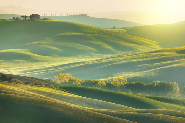 Sunny Morning toscana natureza paisagem onda colinas ciprestes árvores grama verde e lindo céu azul Toscana Itália Europa