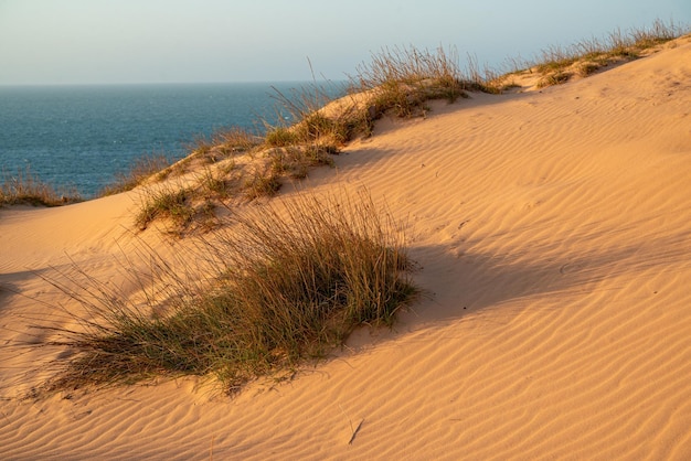 Foto sunset düne von ponta grossa beach icapui ceara brasilien