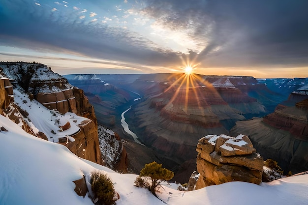 Sunset Moment It039s Horseshoe Bend Grand Canyon Cactus com vista para o Parque Nacional