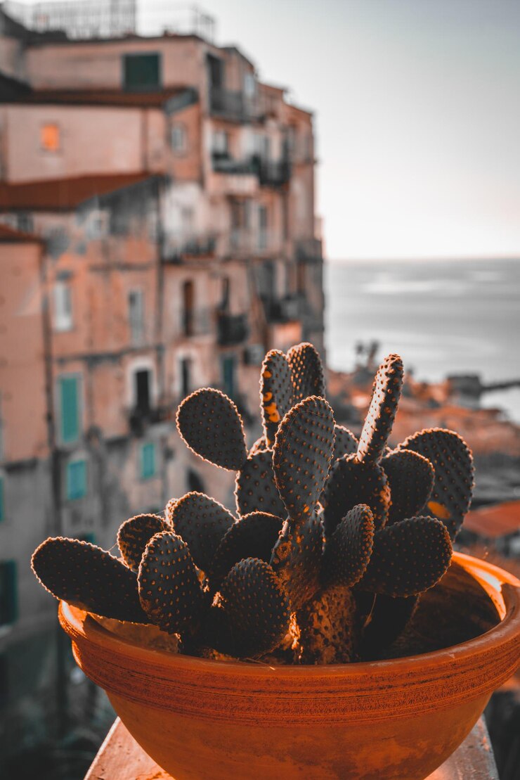 Foto sunset tropea calabria itália cidade histórica oceano mar mar arquitetura do edifício