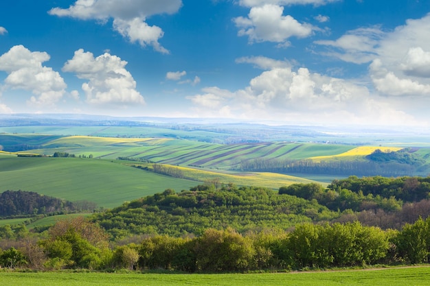 Suntryside Felder und blauer Himmel Landschaft Natur Hintergrund bunte Wellen von Hügeln Tapete