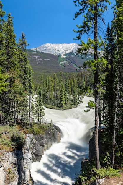 Sunwapta Falls Kanadische Rockies schöne Naturlandschaft Jasper National Park schöne Landschaft