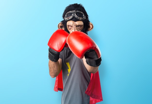 Foto super-herói homem macaco com luvas de boxe em fundo colorido