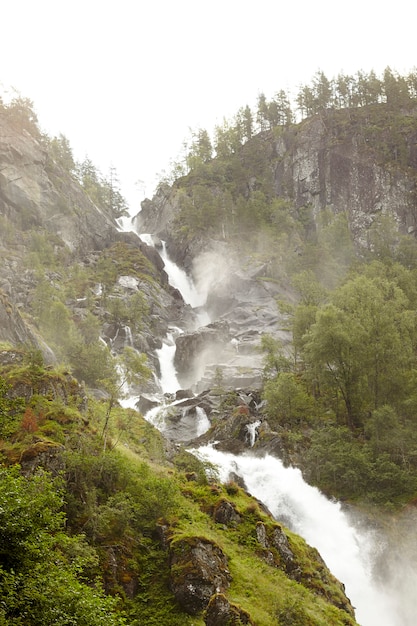 Super Wasserfall in einem Waldgebiet