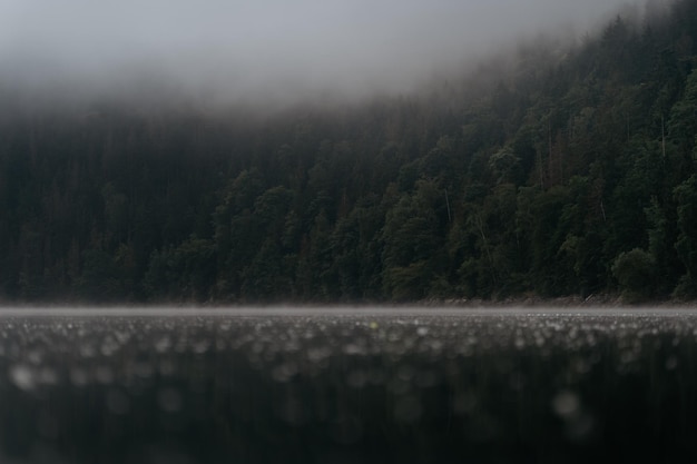 Superficie de agua del lago por bosque durante el tiempo de niebla