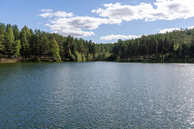 Superficie del agua en el lago del bosque