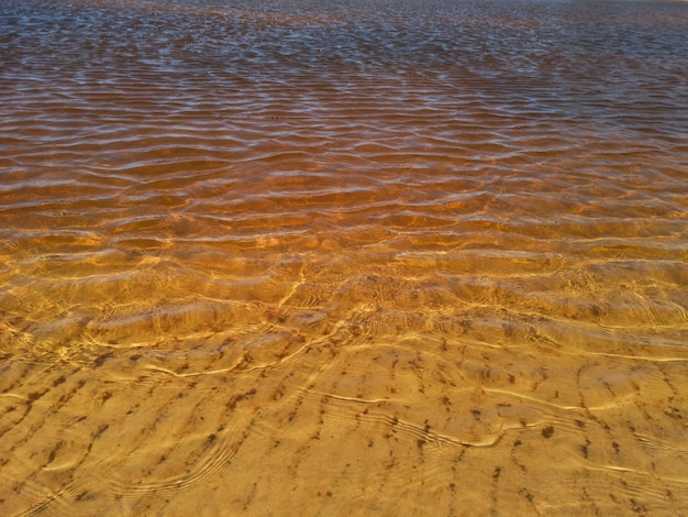 Superficie de agua de río dorada Textura de agua agua dorada transparente