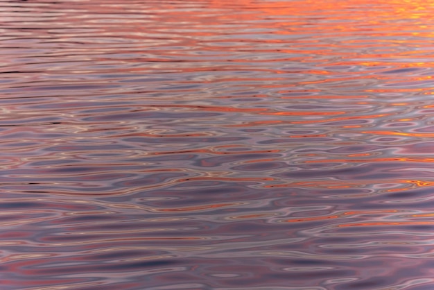 Superficie de agua del río Rin entre Alemania y Francia al atardecer