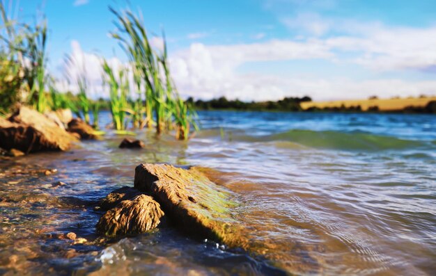 Superficie del agua La textura del agua Olas en el lago cuando hace viento