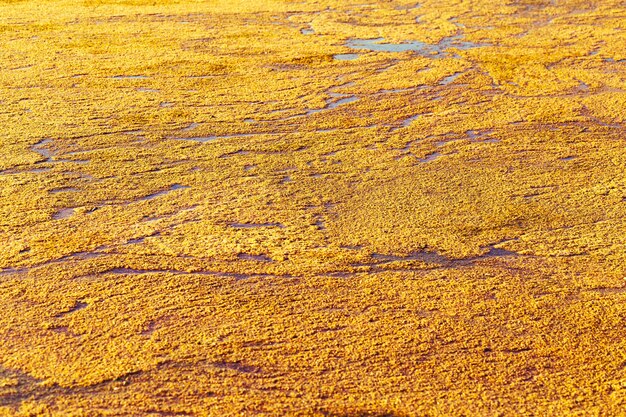 Superficie del agua de textura de naturaleza brillante en ondas de agua de la luz del sol en el pequeño lago cubierto