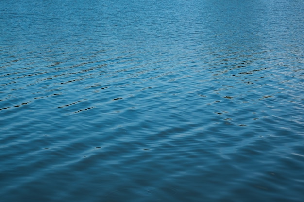 Foto superficie del agua