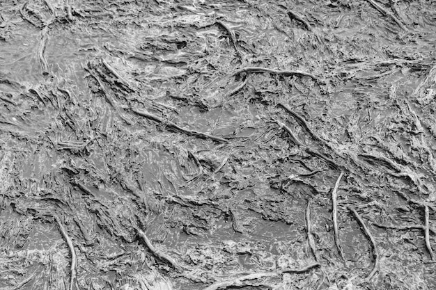 Foto superficie angustiada de colores blanco y negro fondo abstracto detallado