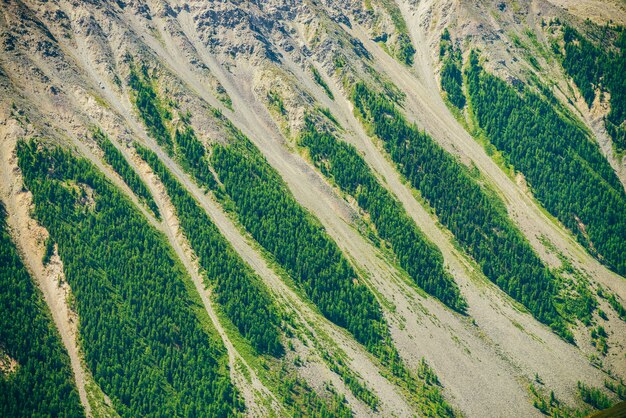 Superfície bonita grande da montanha da natureza com close-up verde da área da floresta. cenário natural da encosta da montanha gigante com floresta de coníferas e riacho de pedregulho. plano de textura de pedras.