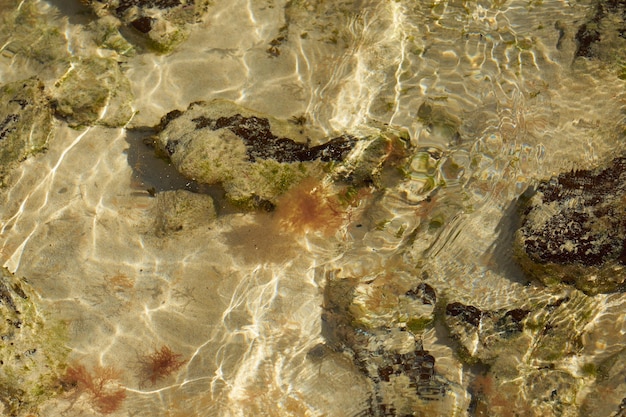 La superficie borrosa del agua clara en la playa tropical como telón de fondo