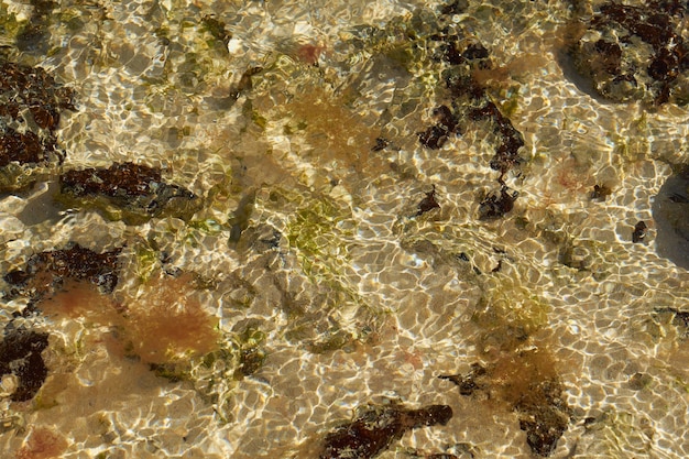 La superficie borrosa del agua clara en la playa tropical como telón de fondo