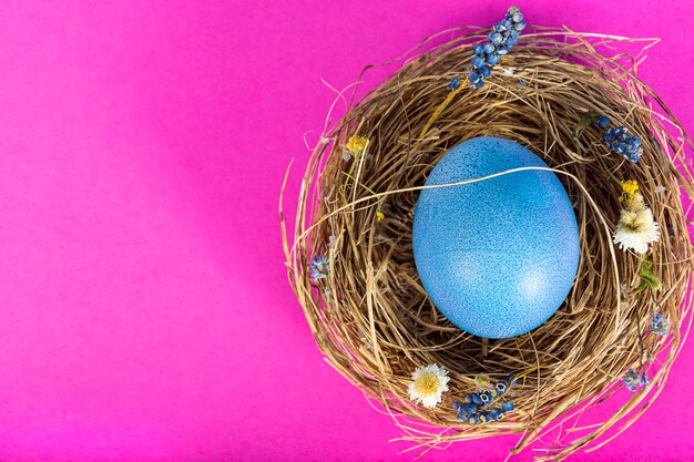 Superfície colorida com ovos de páscoa na superfície rosa