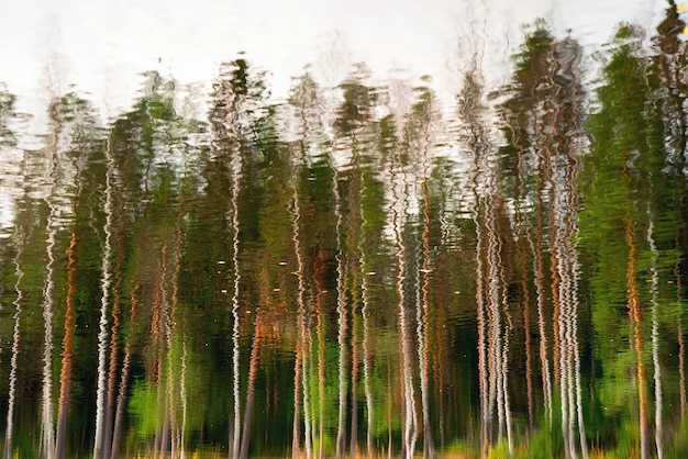 Superfície da água com reflexo das árvores de outono.