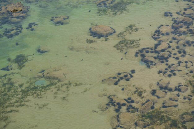 Superfície da água em águas rasas. Pedras sob a água.