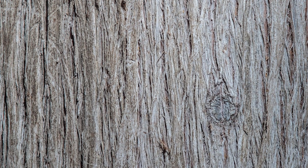 Foto superfície da textura da madeira