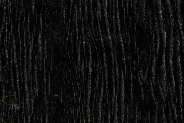 Foto superfície de casca escura texturizada áspera para fundo abstrato