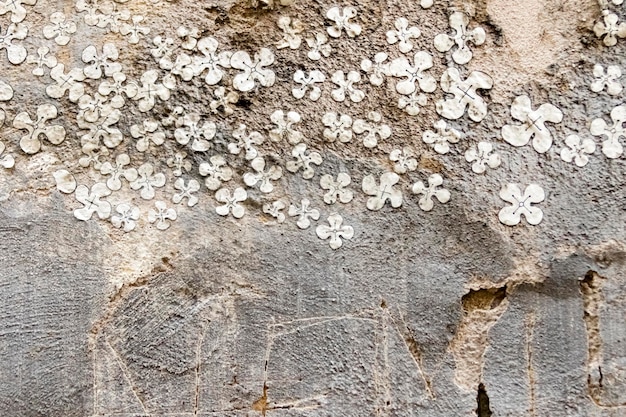 Superfície de concreto cinza com lascas de gesso e pequenas flores brancas