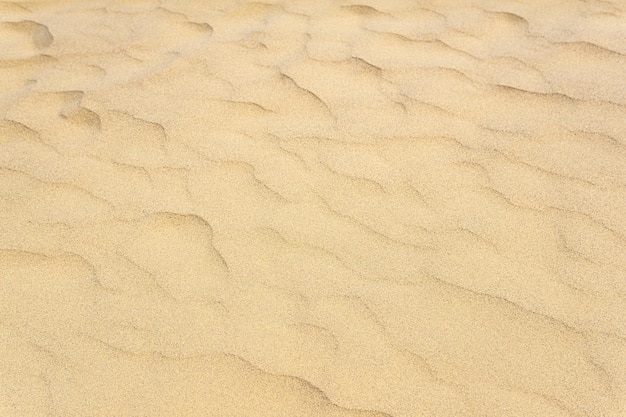 Superfície de deserto arenoso de fundo natural com ondulações de vento