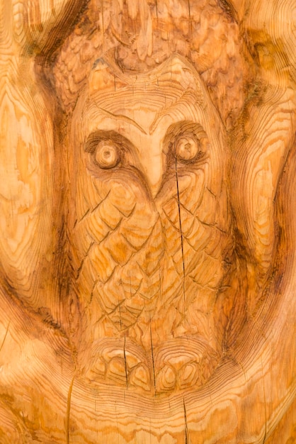 Superfície de madeira esculpida com a imagem de uma textura de fundo de coruja