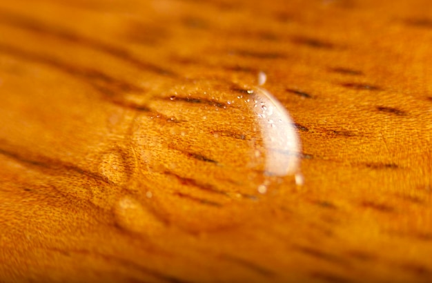 Superfície de madeira molhada Fundos texturizados