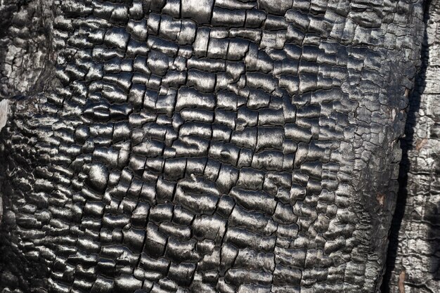 Foto superfície de madeira queimada.