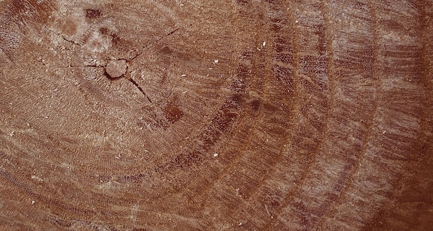 superfície de madeira texturizada natural
